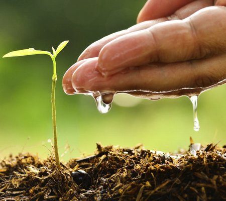 How much can you organically grow your rent roll per year